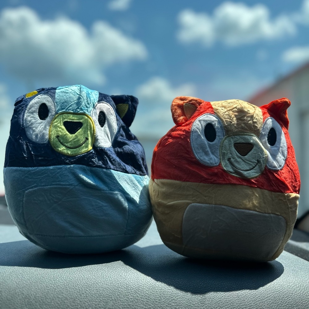 Bluey and Bingo Plush Squishy 2 Pack